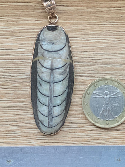 Orthoceras, pendentif de 60 millimètres x21 x11. Vendu avec ou sans cordon noir et réglable de 60 cm !