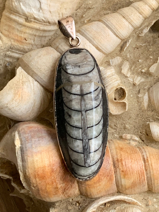 Orthoceras, pendentif de 60 millimètres x21 x11. Vendu avec ou sans cordon noir et réglable de 60 cm !