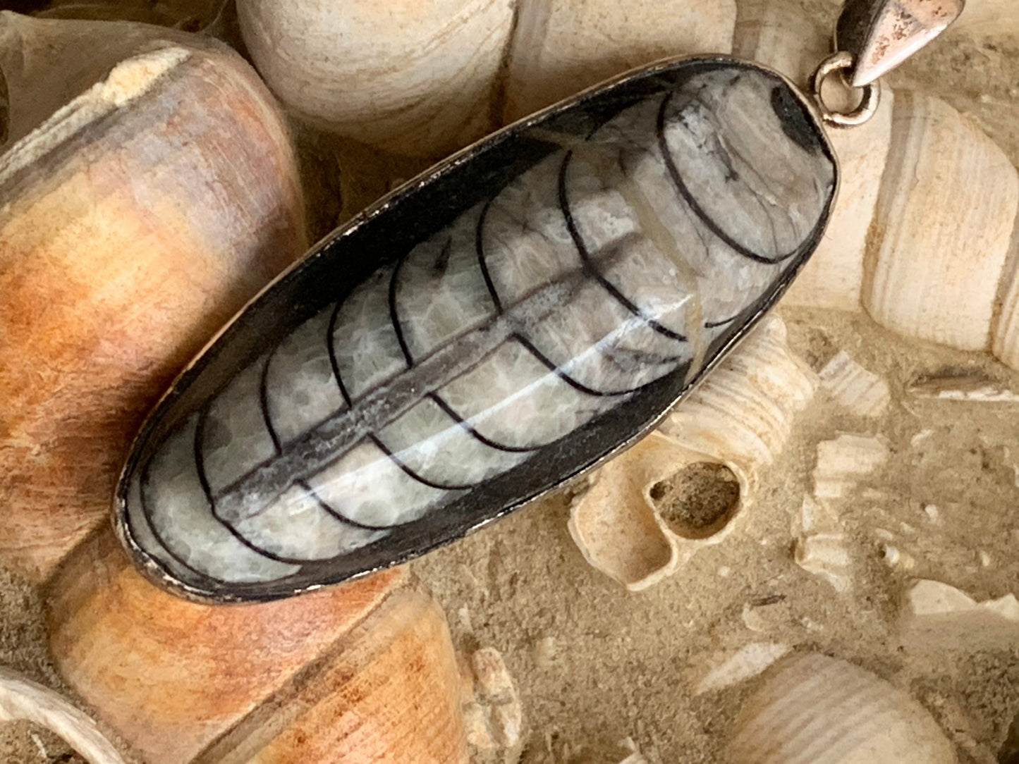 Orthoceras, pendentif de 60 millimètres x21 x11. Vendu avec ou sans cordon noir et réglable de 60 cm !