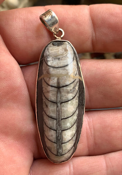 Orthoceras, pendentif de 60 millimètres x21 x11. Vendu avec ou sans cordon noir et réglable de 60 cm !