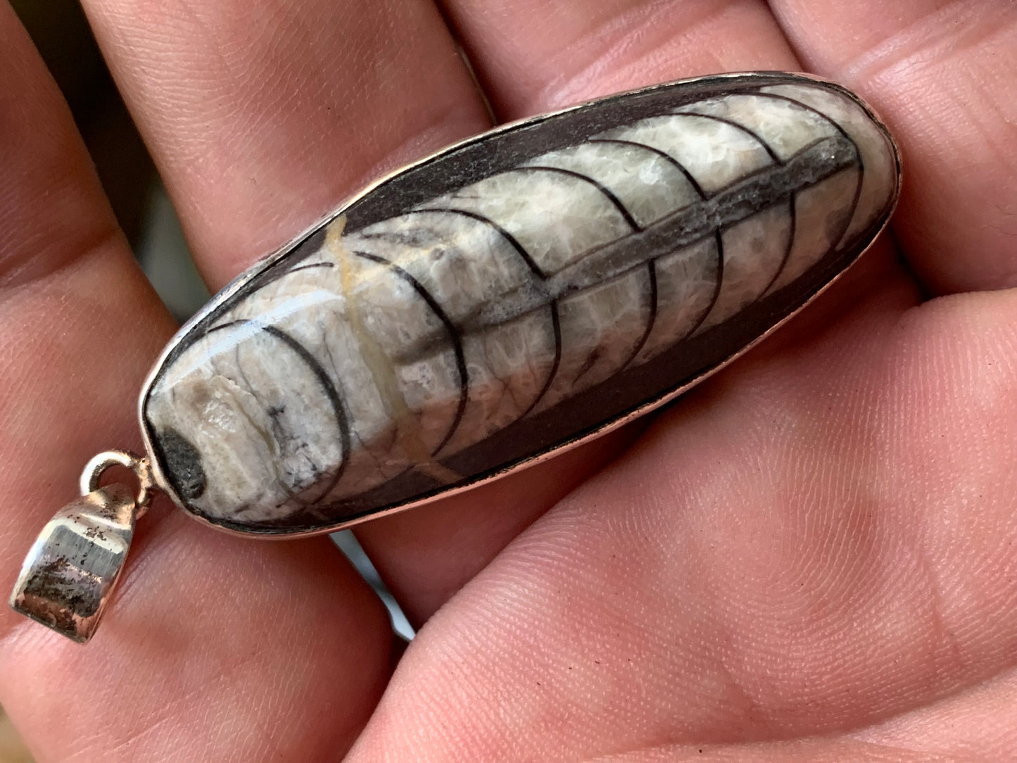 Orthoceras, pendentif de 60 millimètres x21 x11. Vendu avec ou sans cordon noir et réglable de 60 cm !