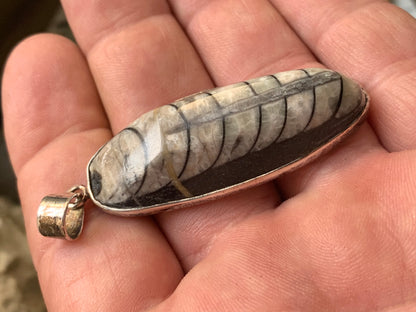 Orthoceras, pendentif de 60 millimètres x21 x11. Vendu avec ou sans cordon noir et réglable de 60 cm !