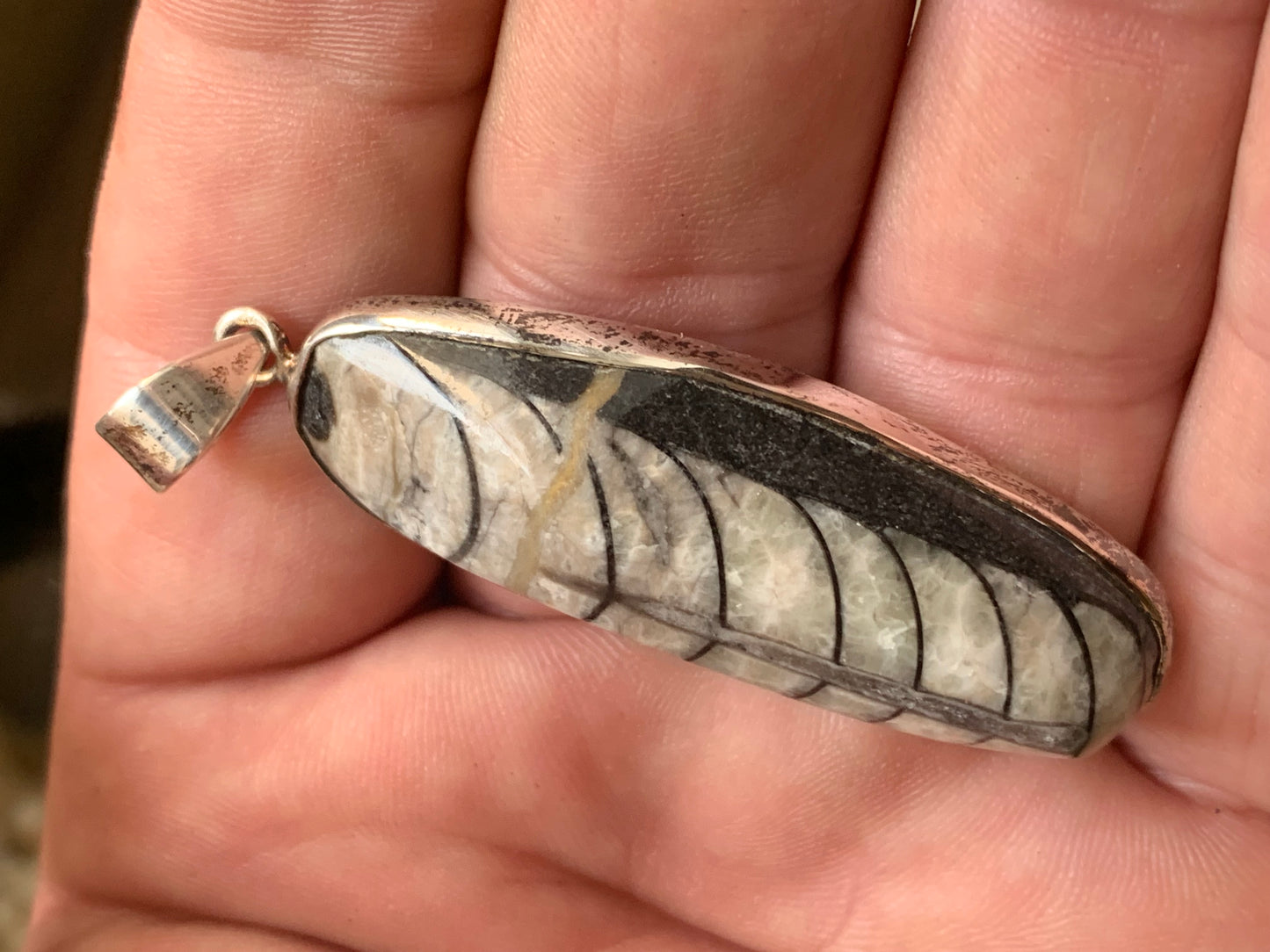 Orthoceras, pendentif de 60 millimètres x21 x11. Vendu avec ou sans cordon noir et réglable de 60 cm !