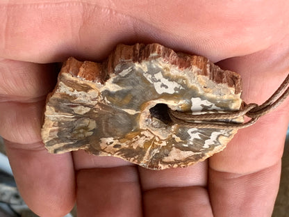 Bois fossilisé/ pétrifié, pendentif de 58x42x8 millimètres, vendu avec cordon coulissant (réglable) marron de 40 à 70 centimètres !