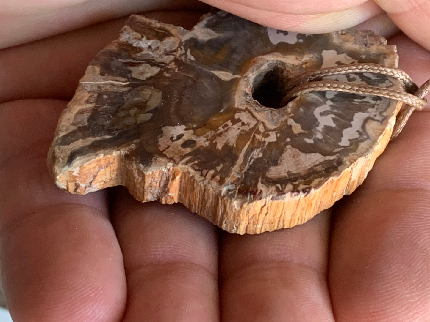 Bois fossilisé/ pétrifié, pendentif de 58x42x8 millimètres, vendu avec cordon coulissant (réglable) marron de 40 à 70 centimètres !