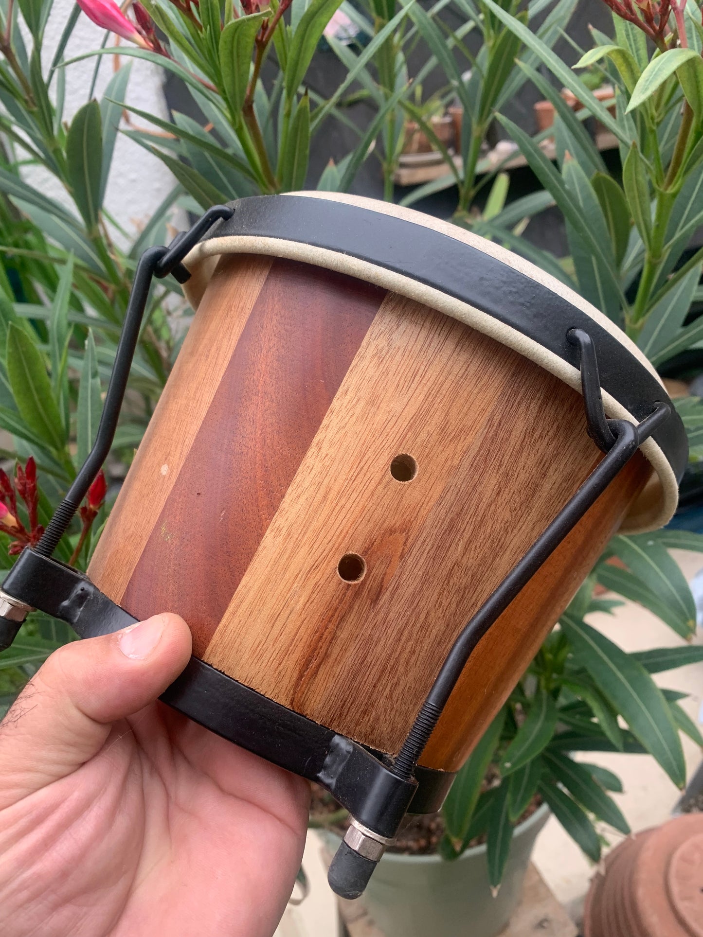 Goat skin tambourine/bongo, 20x17 cm in diameter. Handcrafted, perfect for accompaniment and keeping time!