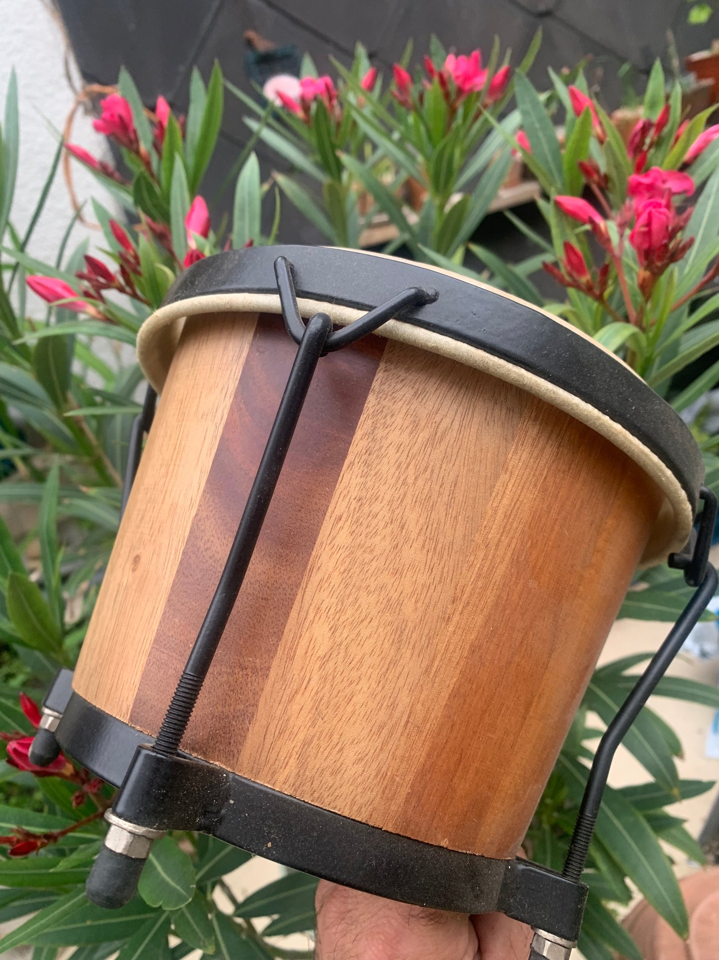 Goat skin tambourine/bongo, 20x17 cm in diameter. Handcrafted, perfect for accompaniment and keeping time!