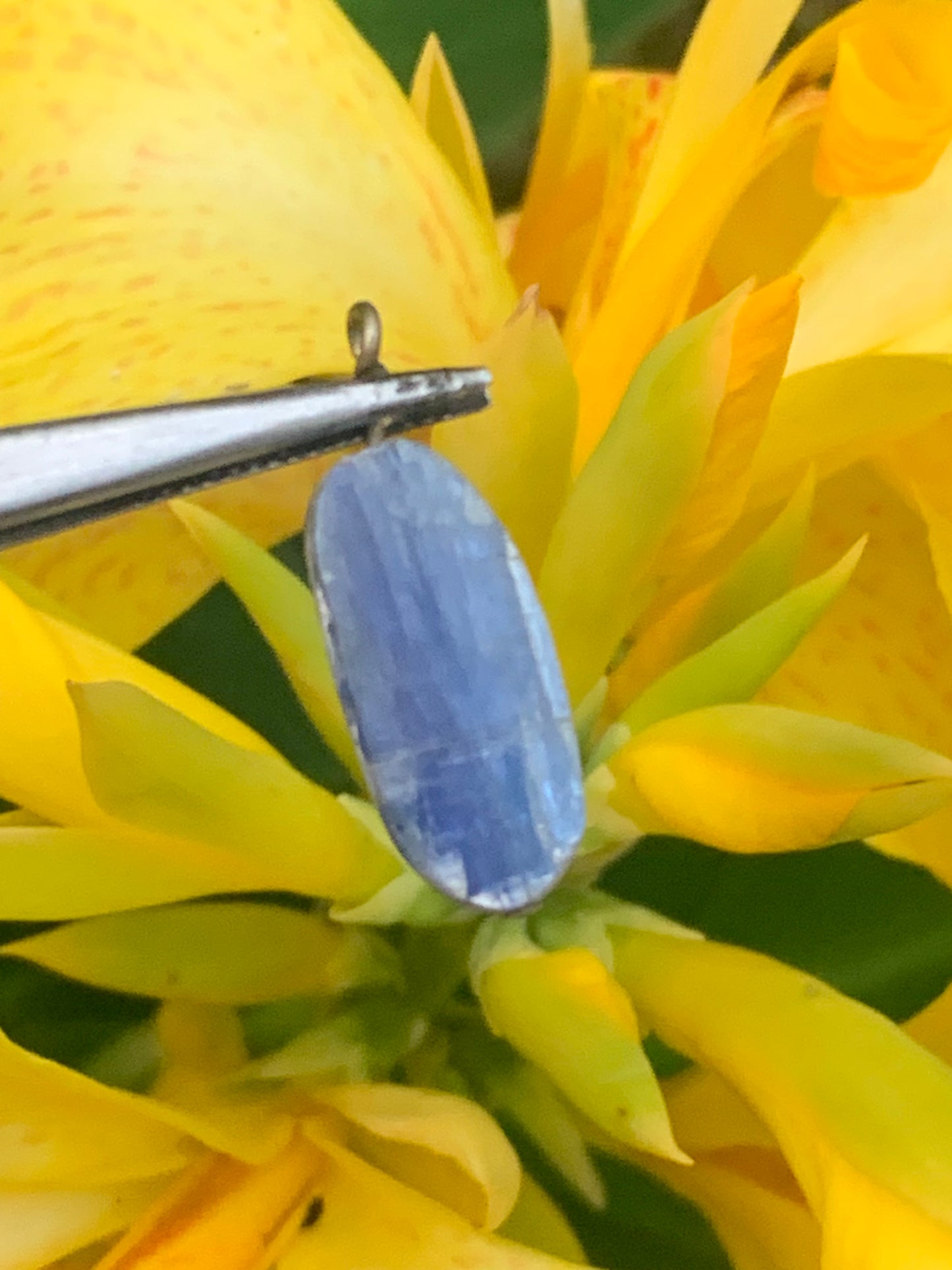 Kyanite disthene, pendant of 25 millimeters x10x5. Sold with or without black cord and adjustable by 60 cm!