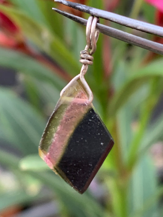 Tourmaline elbaïte melon d'eau/ pastèque ! Pendentif en Argent fait par G&Z, 25 mm de hauteur x 10 de largeur x . Vendu avec cordon réglable de couleur noire !