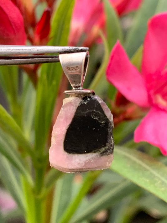Tourmaline elbaïte melon d'eau/ pastèque, pendentif en Argent fait par G & Z de 23 mm de hauteur x 12 de largeur x 6. Vendu avec cordon réglable de couleur noire !