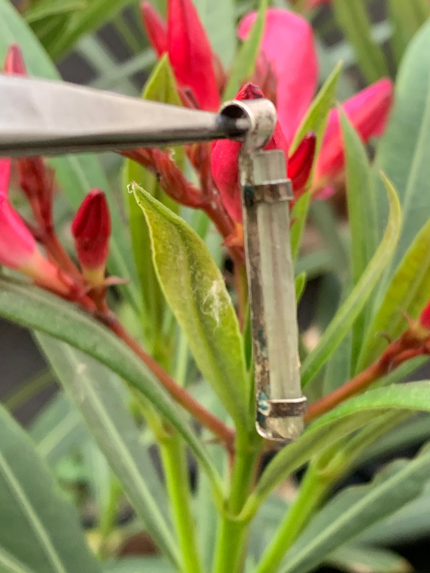 Tourmaline verte/ Verdélite ! Pièce en Argent fait par G&Z de 32 mm de hauteur x 4de largeur x  4. Vendu avec cordon réglable de couleur noire !
