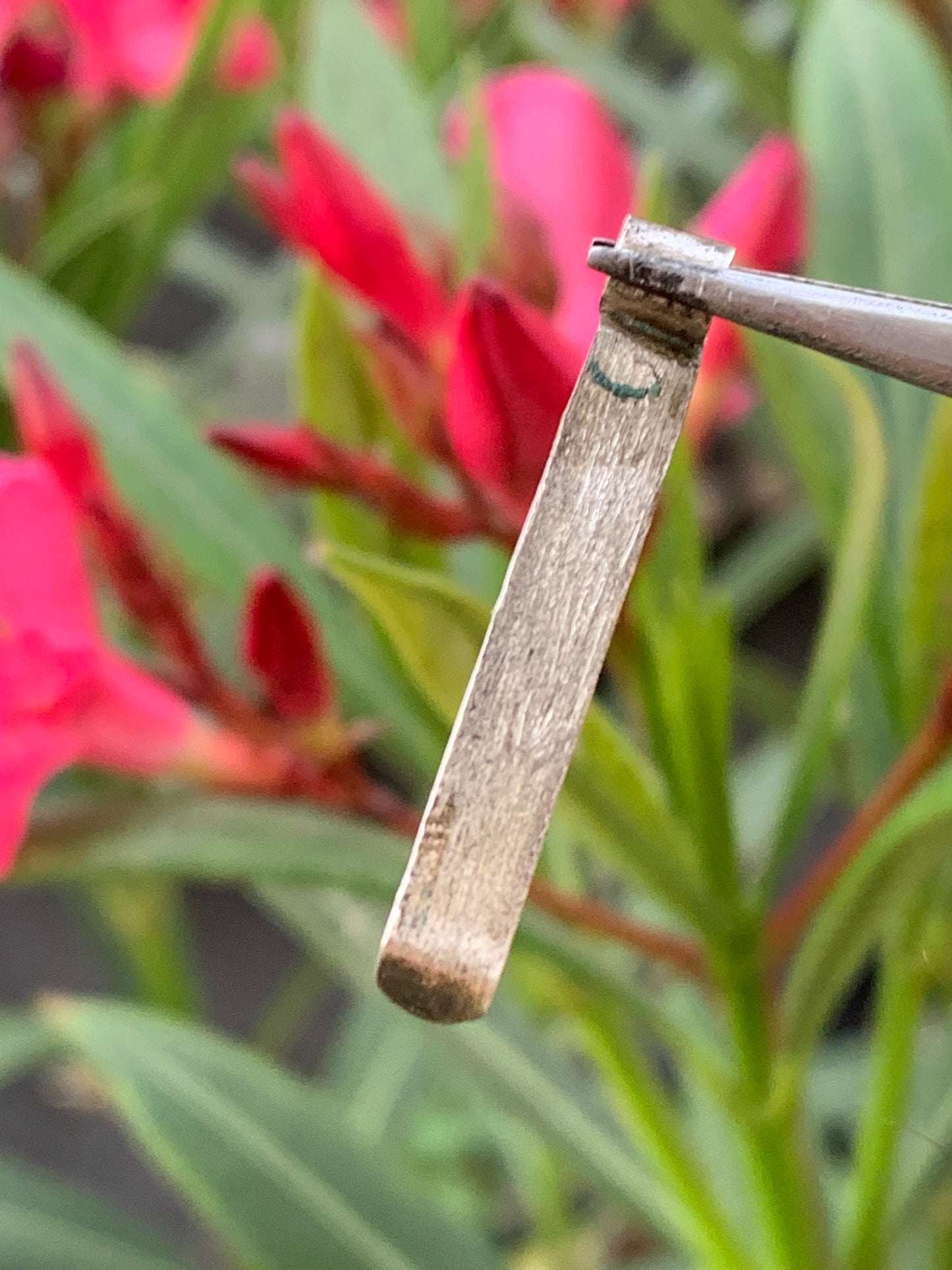 Tourmaline verte/ Verdélite ! Pièce en Argent fait par G&Z de 32 mm de hauteur x 4de largeur x  4. Vendu avec cordon réglable de couleur noire !
