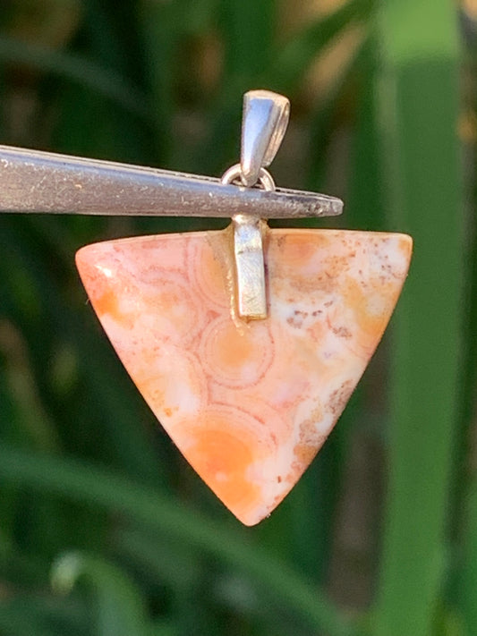 Jaspe orbiculaire, pendentif en Argent de 30mm de hauteur x24 de largeur x4 d'épaisseur. Vendu avec cordon réglable !