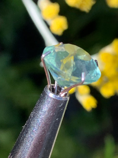 Fluorite/ Fluorine verte, pierre taillée de 10mm de diamètre x7 - 4 carats. Parfait en bijouterie, collection ,exposition...