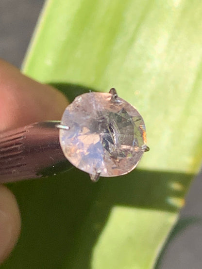 Morganite, pierre taillée de 10mm x9 x5 - 1,5 carat. Parfait en bijouterie, collection ,exposition...