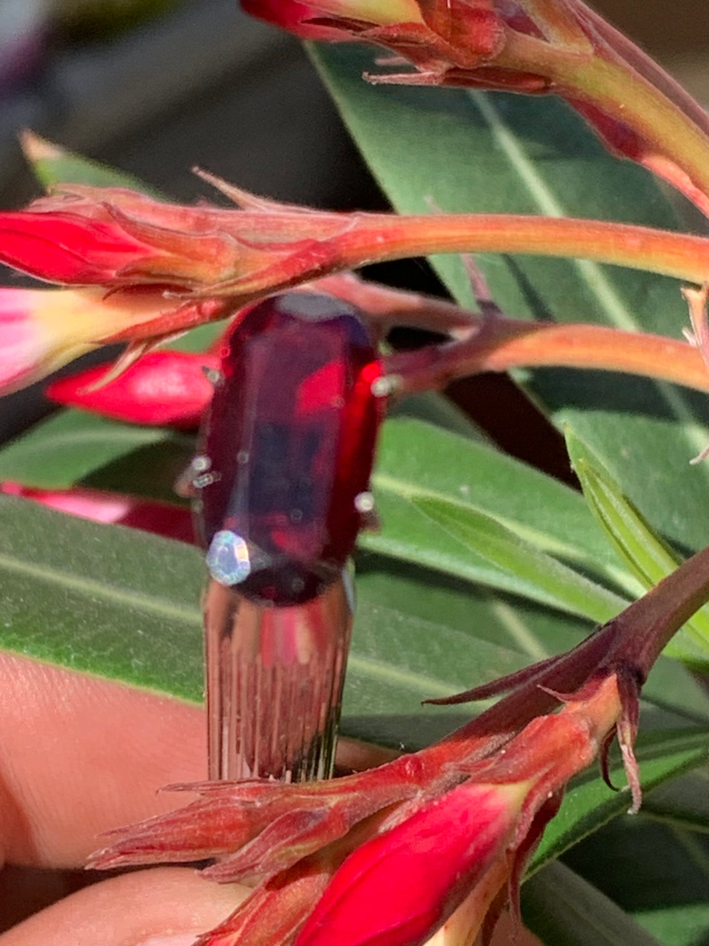 Grenat Almandin, pierre taillée de 14mm x7 x5 - 4 carats. Parfait en bijouterie, collection ,exposition...