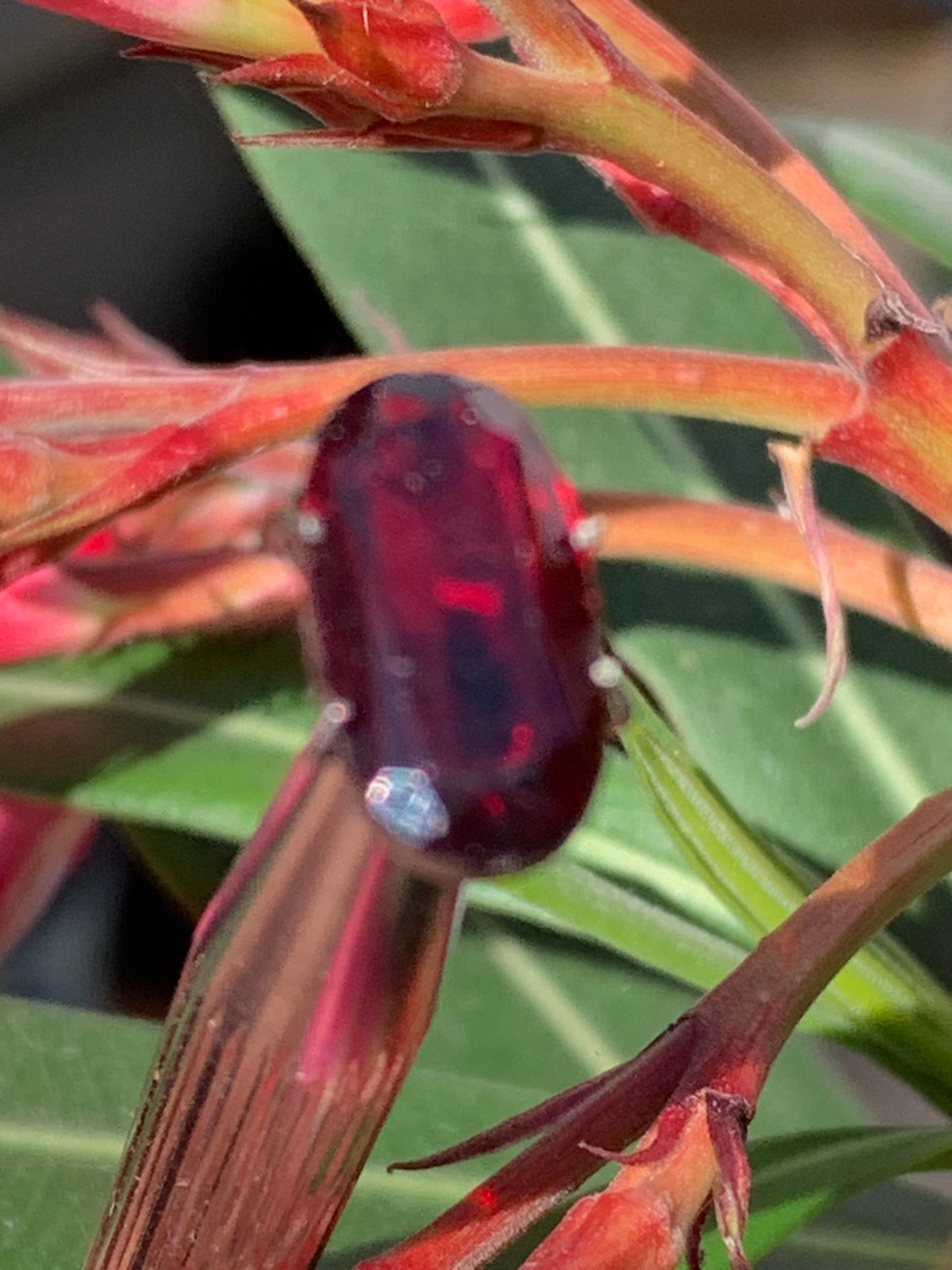 Grenat Almandin, pierre taillée de 14mm x7 x5 - 4 carats. Parfait en bijouterie, collection ,exposition...