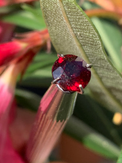 Grenat Almandin, pierre taillée de 7mm de diamètre x 5 - 2 carats. Parfait en bijouterie, collection ,exposition...