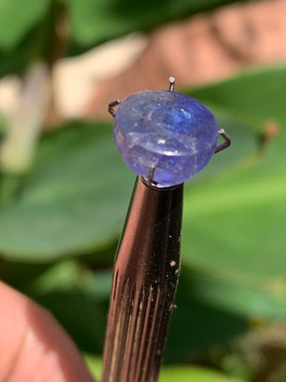 Cyanite disthène, cabochon de 10mm de diamètre x 5 - 4,5 carats. Parfait en bijouterie, collection, exposition...