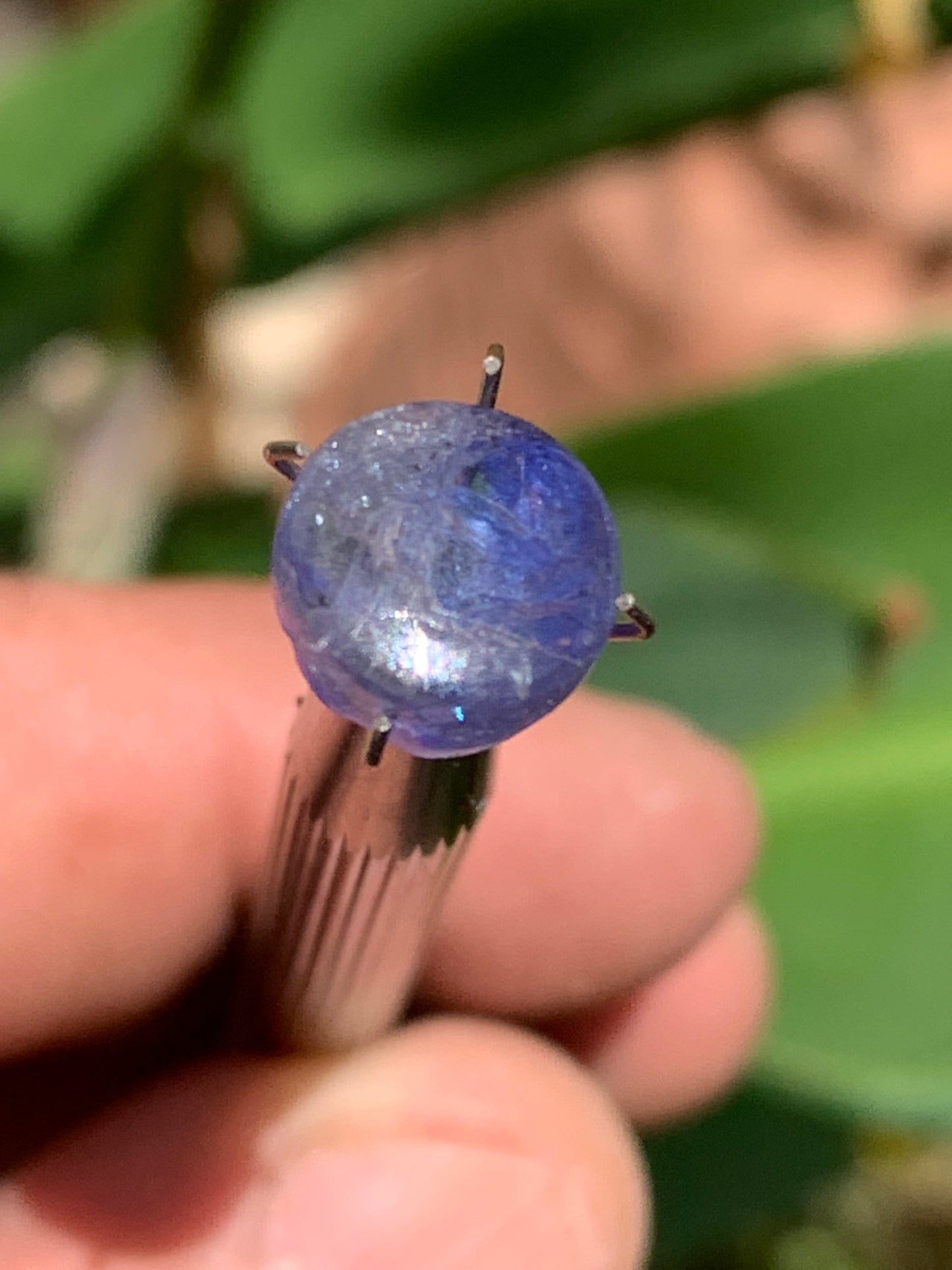 Cyanite disthène, cabochon de 10mm de diamètre x 5 - 4,5 carats. Parfait en bijouterie, collection, exposition...
