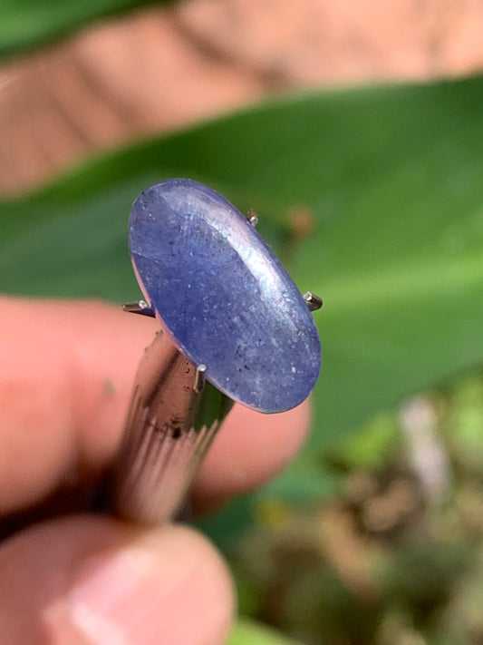 Cyanite disthène, cabochon de 15mm x 8 x 4 - 5 carats. Parfait en bijouterie, collection ,exposition...