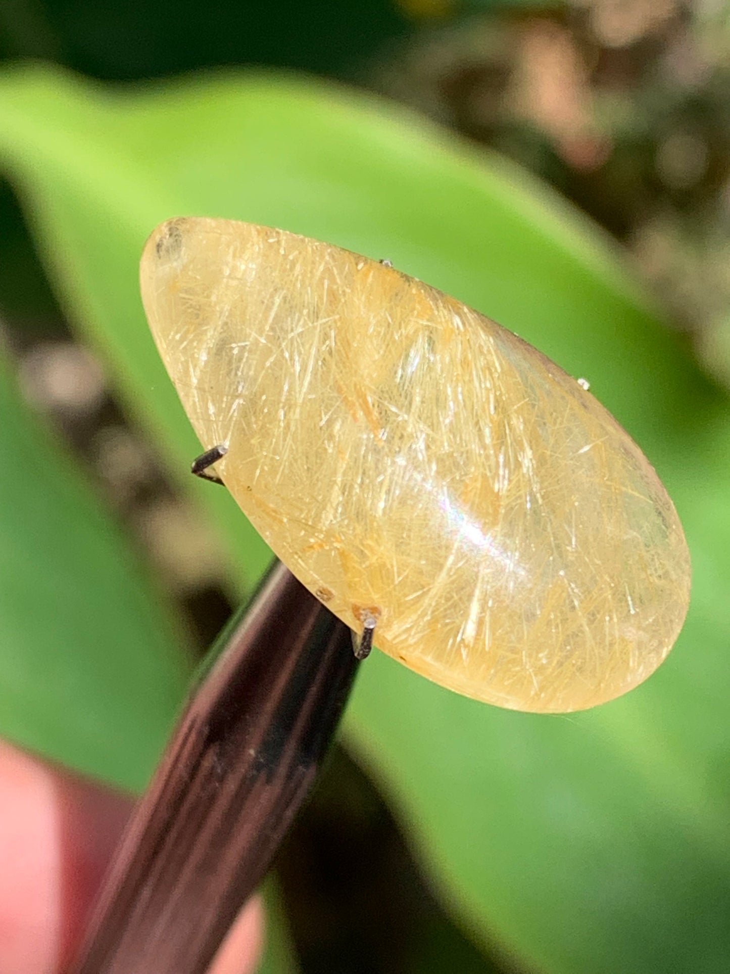 Cristal de roche/ quartz à rutiles dorés, cabochon de 25mm x15 x6 - 15,5 carats. Parfait en bijouterie, collection ,exposition...