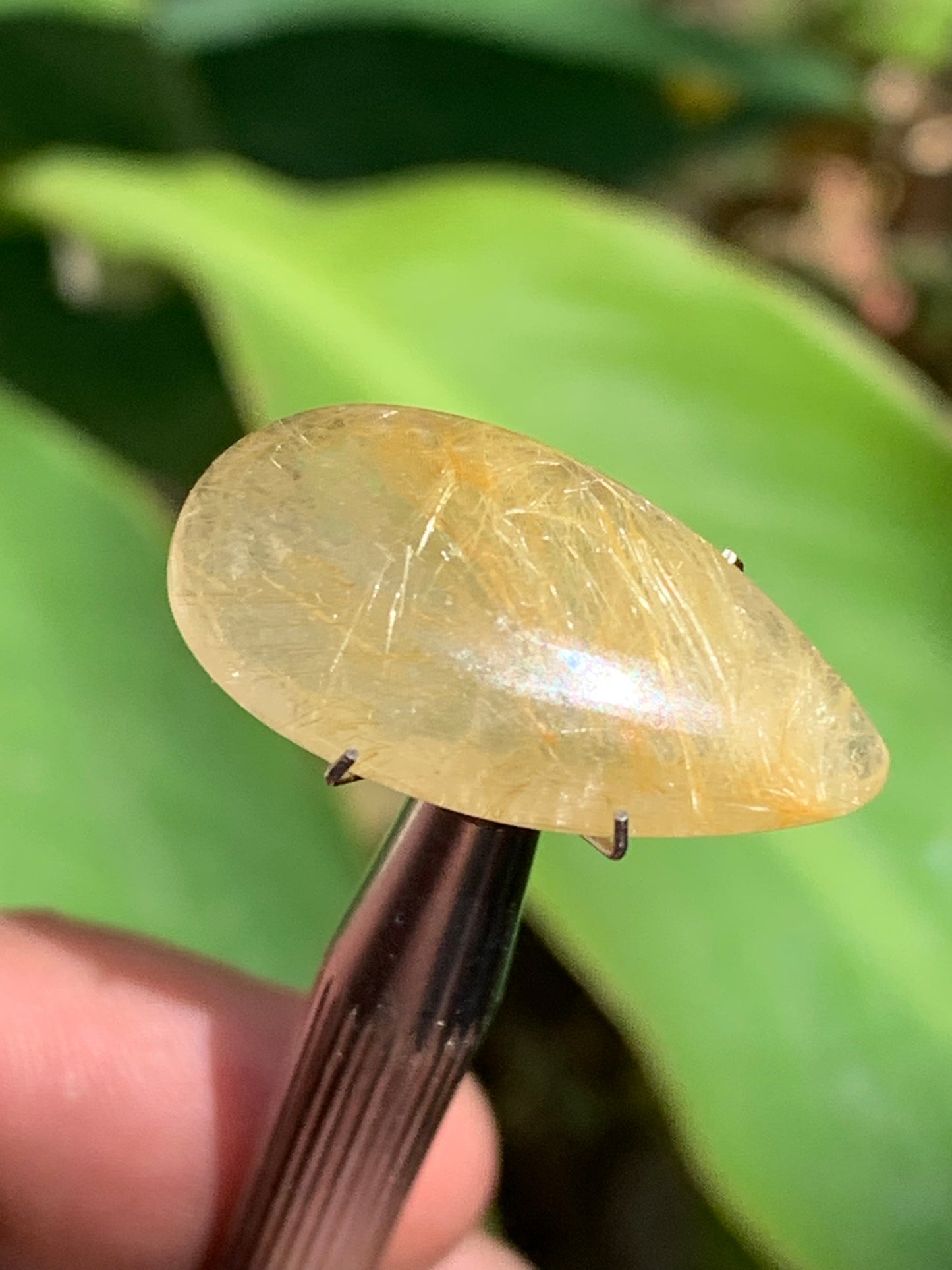 Cristal de roche/ quartz à rutiles dorés, cabochon de 25mm x15 x6 - 15,5 carats. Parfait en bijouterie, collection ,exposition...
