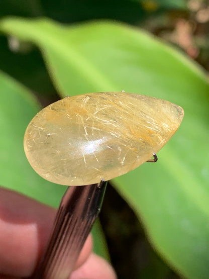 Cristal de roche/ quartz à rutiles dorés, cabochon de 25mm x15 x6 - 15,5 carats. Parfait en bijouterie, collection ,exposition...