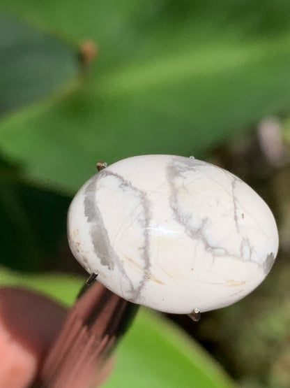 Howlite, cabochon de 20mm x15 x8 - 17 carats. Parfait en bijouterie, collection ,exposition...