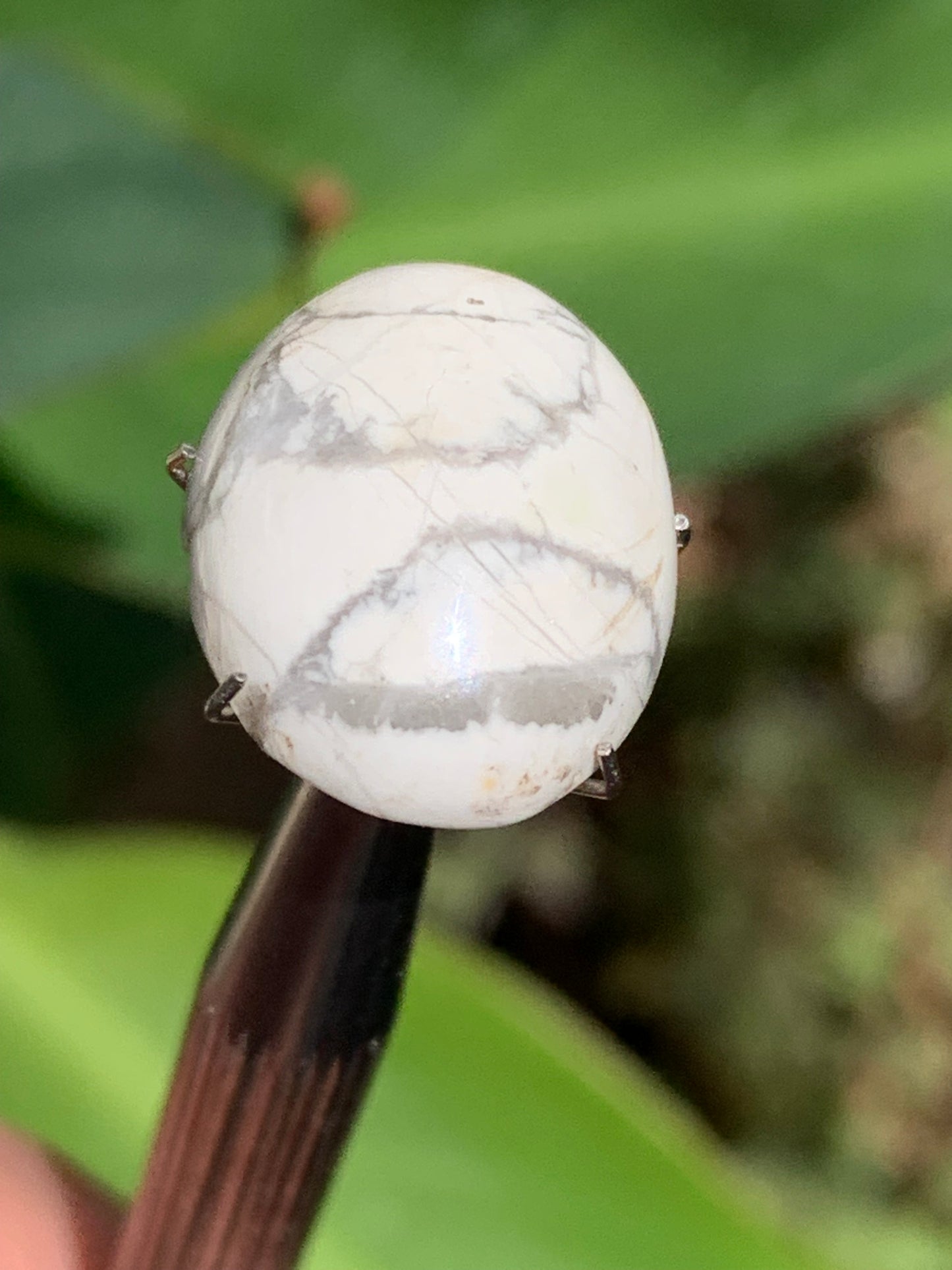 Howlite, cabochon de 20mm x15 x8 - 17 carats. Parfait en bijouterie, collection ,exposition...
