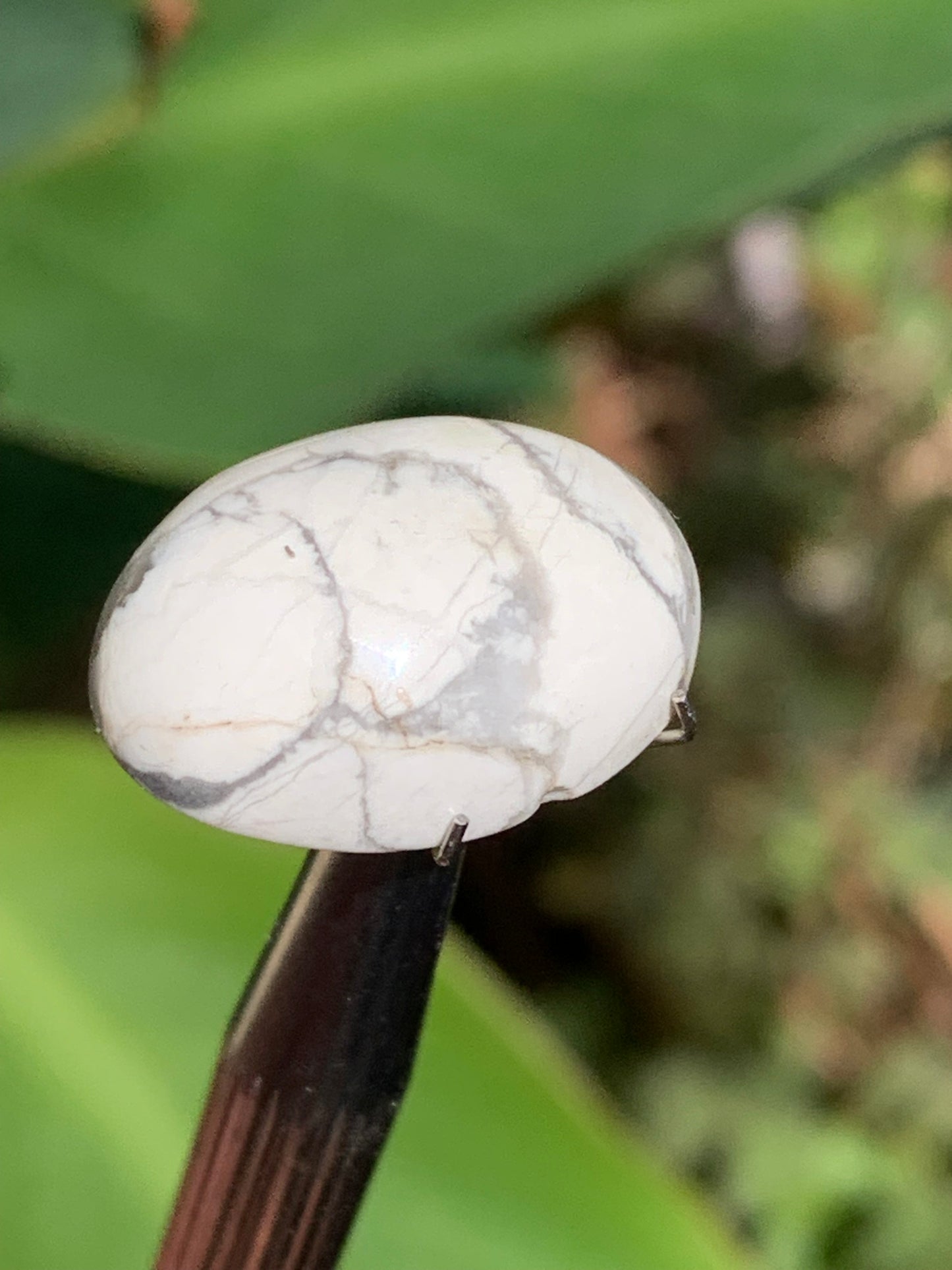 Howlite, cabochon de 20mm x15 x8 - 17 carats. Parfait en bijouterie, collection ,exposition...