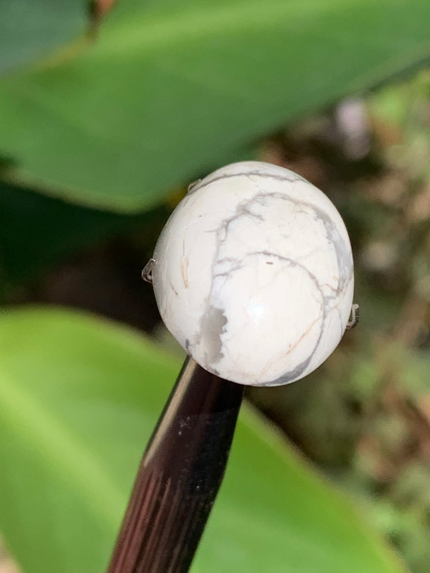 Howlite, cabochon de 20mm x15 x8 - 17 carats. Parfait en bijouterie, collection ,exposition...
