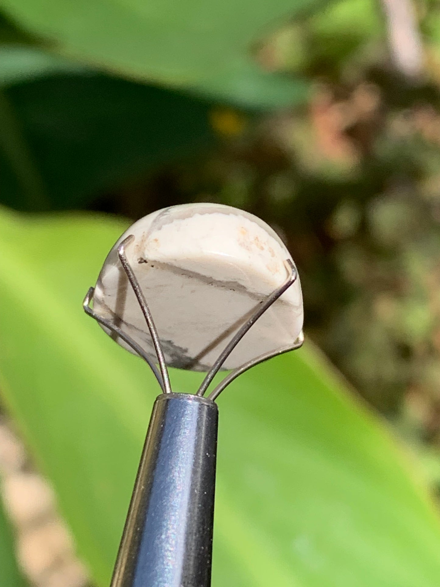 Howlite, cabochon de 20mm x15 x8 - 17 carats. Parfait en bijouterie, collection ,exposition...