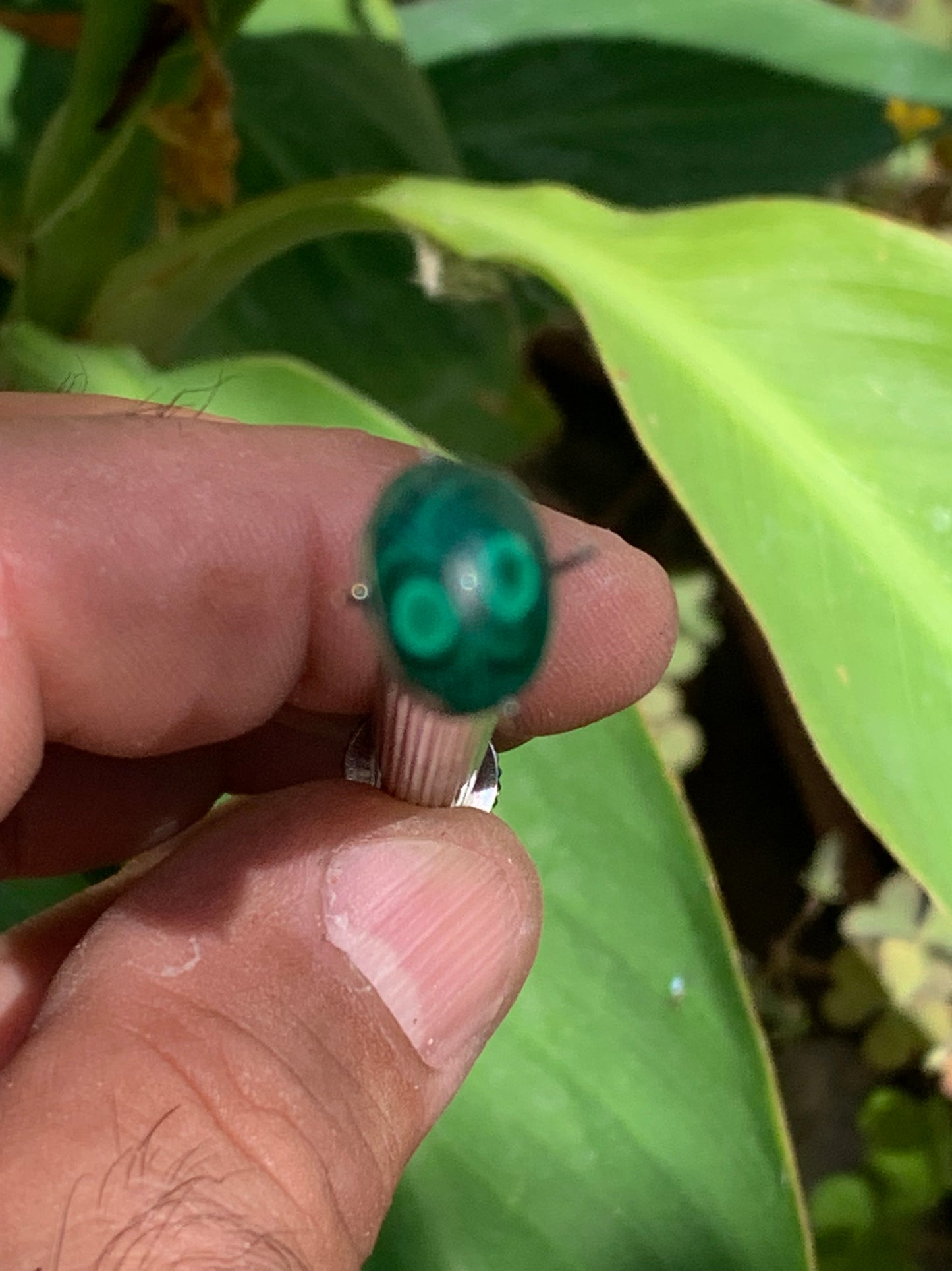 Malachite, cabochon de 12mm x9 x5 - 2,5 carats. Parfait en bijouterie, collection ,exposition...