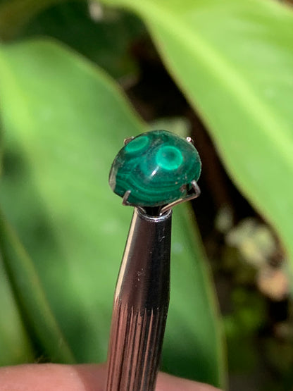 Malachite, cabochon de 12mm x9 x5 - 2,5 carats. Parfait en bijouterie, collection ,exposition...