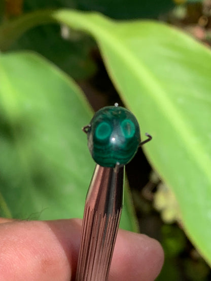 Malachite, cabochon de 12mm x9 x5 - 2,5 carats. Parfait en bijouterie, collection ,exposition...