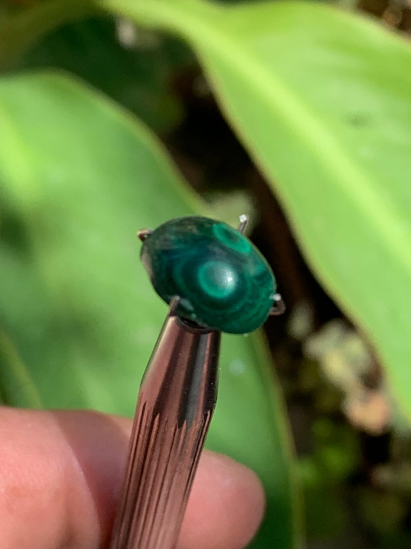 Malachite, cabochon de 12mm x9 x5 - 2,5 carats. Parfait en bijouterie, collection ,exposition...