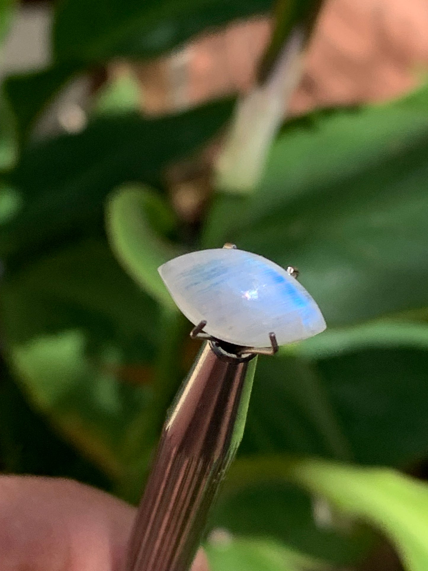 Pierre de lune blanche/ Adulaire - Cabochon de 14mm x7 x5 - 2,5 carats. Parfait en bijouterie, collection ,exposition...