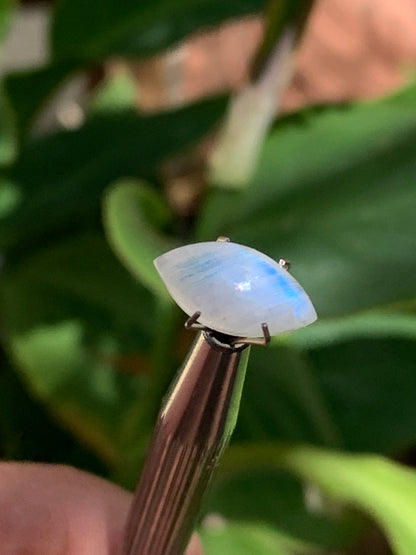 Pierre de lune blanche/ Adulaire - Cabochon de 14mm x7 x5 - 2,5 carats. Parfait en bijouterie, collection ,exposition...