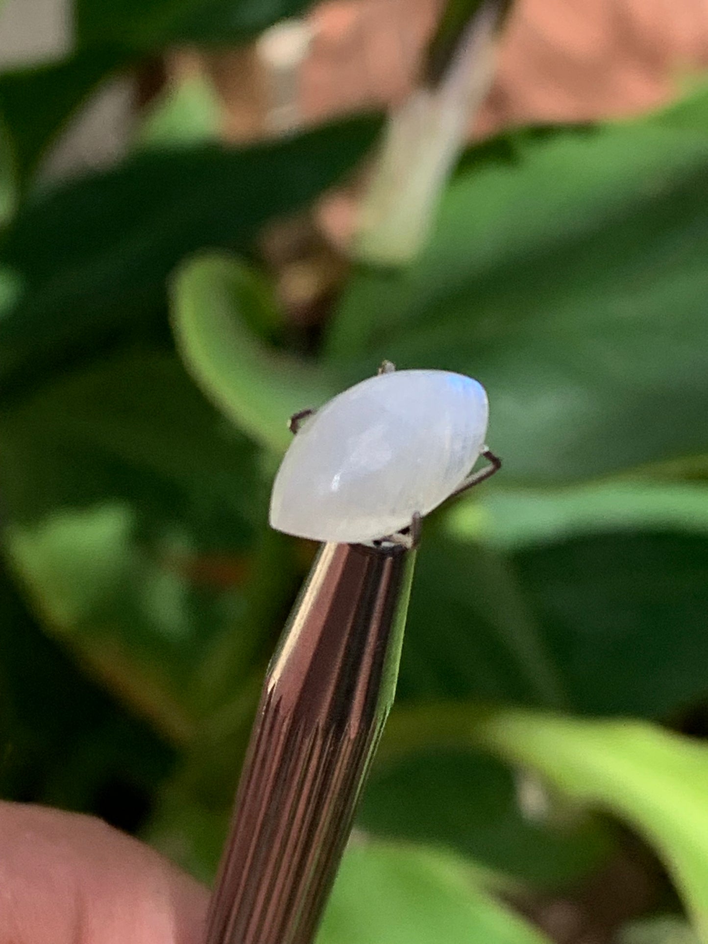 Pierre de lune blanche/ Adulaire - Cabochon de 14mm x7 x5 - 2,5 carats. Parfait en bijouterie, collection ,exposition...