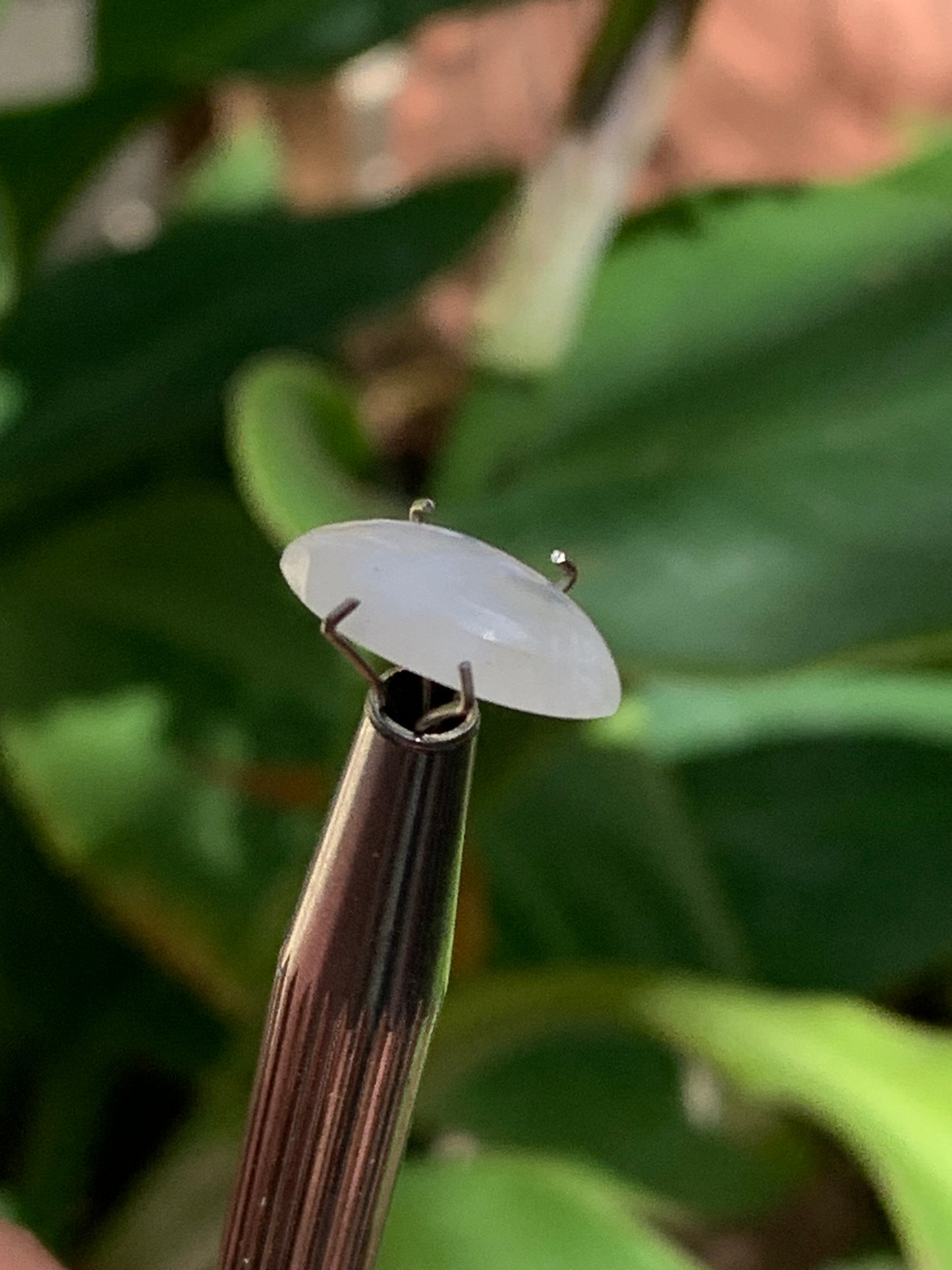 Pierre de lune blanche/ Adulaire - Cabochon de 14mm x7 x5 - 2,5 carats. Parfait en bijouterie, collection ,exposition...
