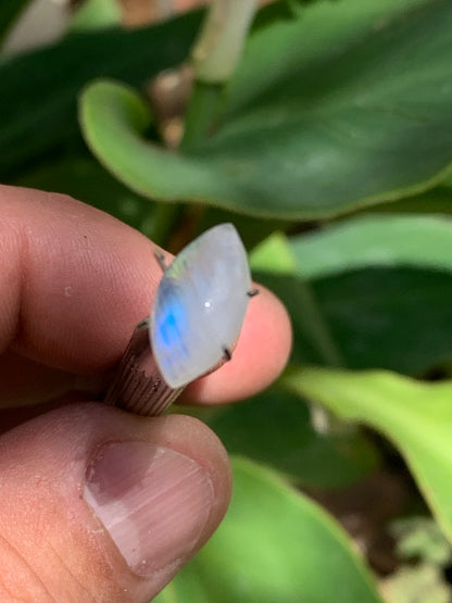 Pierre de lune blanche/ Adulaire - Cabochon de 14mm x7 x5 - 2,5 carats. Parfait en bijouterie, collection ,exposition...