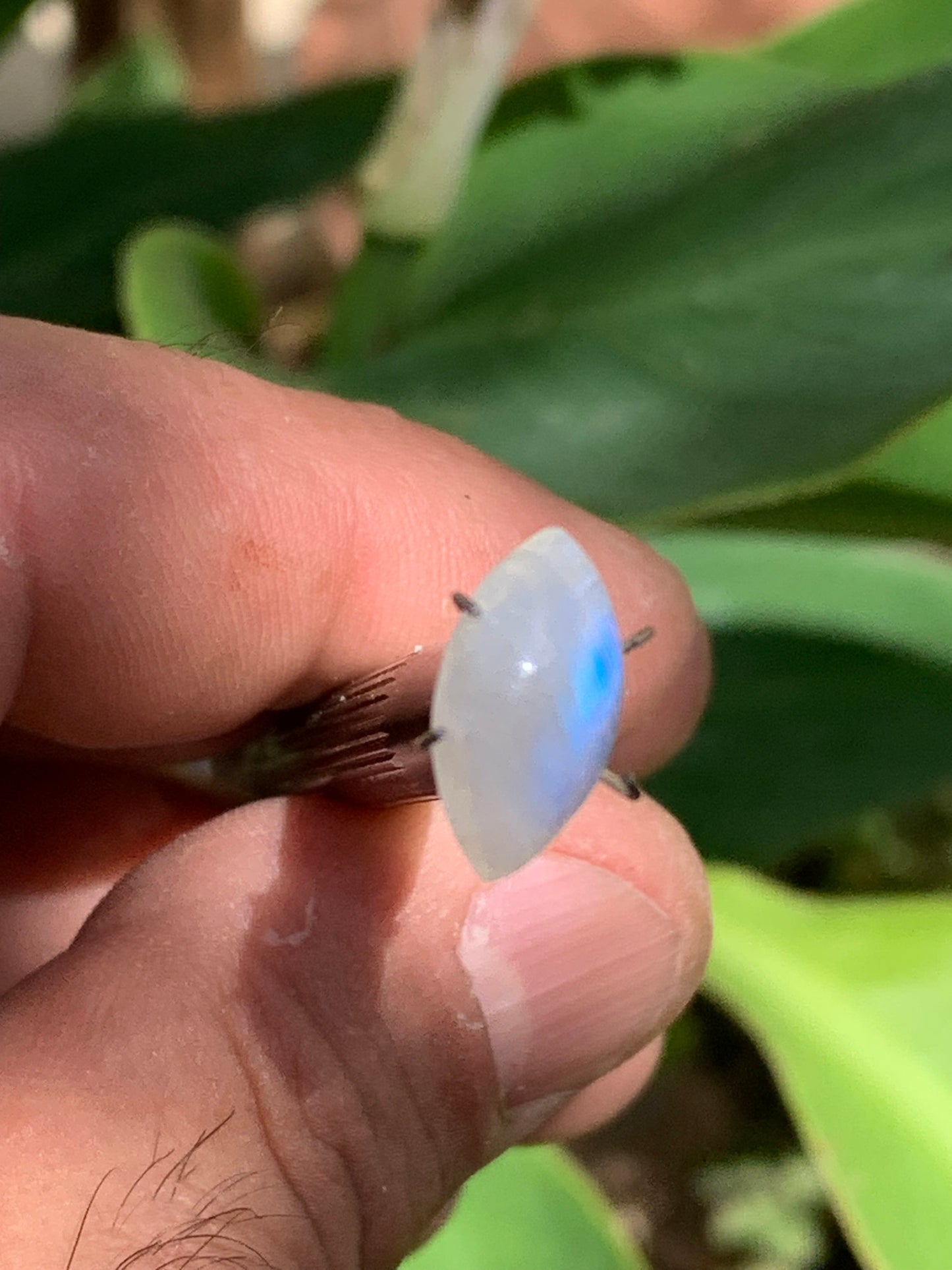 Pierre de lune blanche/ Adulaire - Cabochon de 14mm x7 x5 - 2,5 carats. Parfait en bijouterie, collection ,exposition...