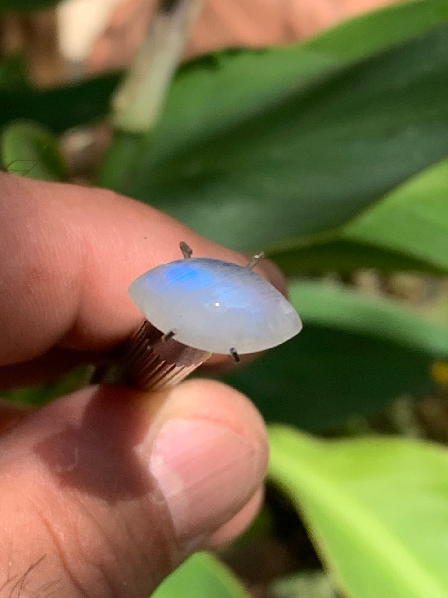 Pierre de lune blanche/ Adulaire - Cabochon de 14mm x7 x5 - 2,5 carats. Parfait en bijouterie, collection ,exposition...