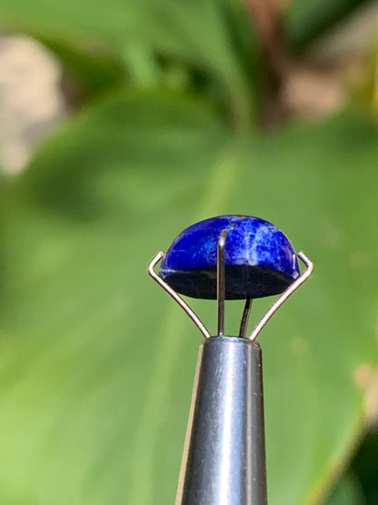 Lapis lazuli, cabochon de 10mm x9 x5 - 3,5 carats. Parfait en bijouterie, collection ,exposition...