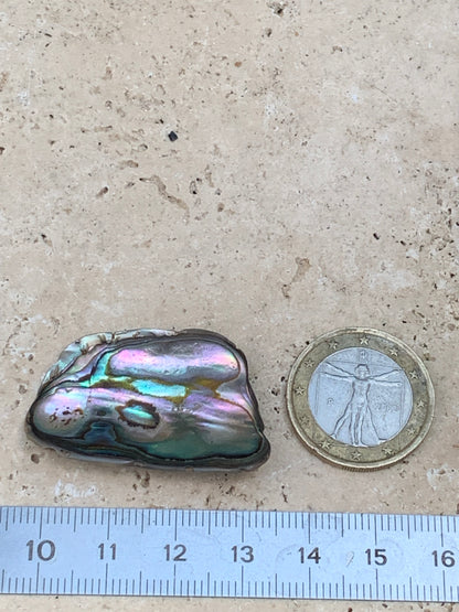 Nacre, pièce de 38mm x24 x3 - 3,5 grammes. Parfait en bijouterie, collection ,exposition...