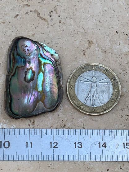 Nacre, pièce de 38mm x24 x3 - 3,5 grammes. Parfait en bijouterie, collection ,exposition...