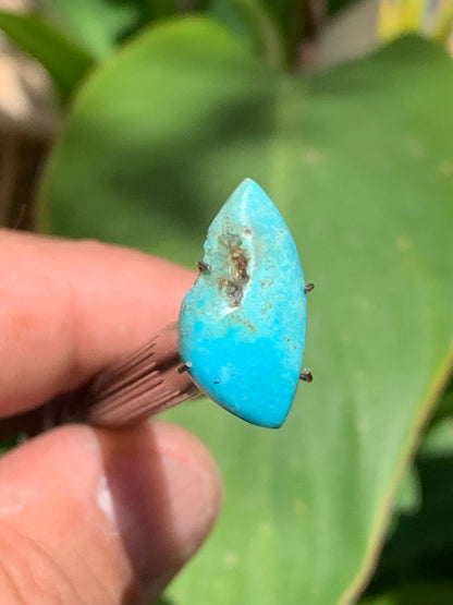 Turquoise, 20mm cabochon x10 x3 - 3 carats. Perfect for jewelry, collections, exhibitions...