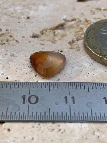 Cornaline, pierre fine taillée de 10mm x10 x4 - 2,5 carats. Parfait en bijouterie, collection ,exposition...