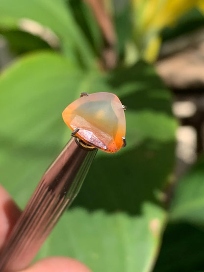 Cornaline, pierre fine taillée de 10mm x10 x4 - 2,5 carats. Parfait en bijouterie, collection ,exposition...
